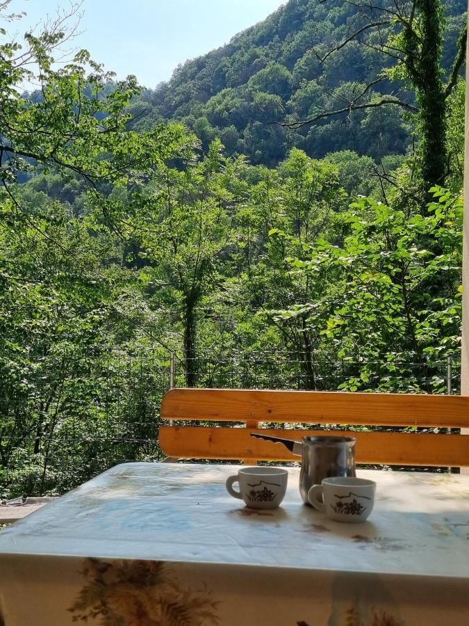 Glamping House ˇvitaˇ Tolmin Eksteriør bilde